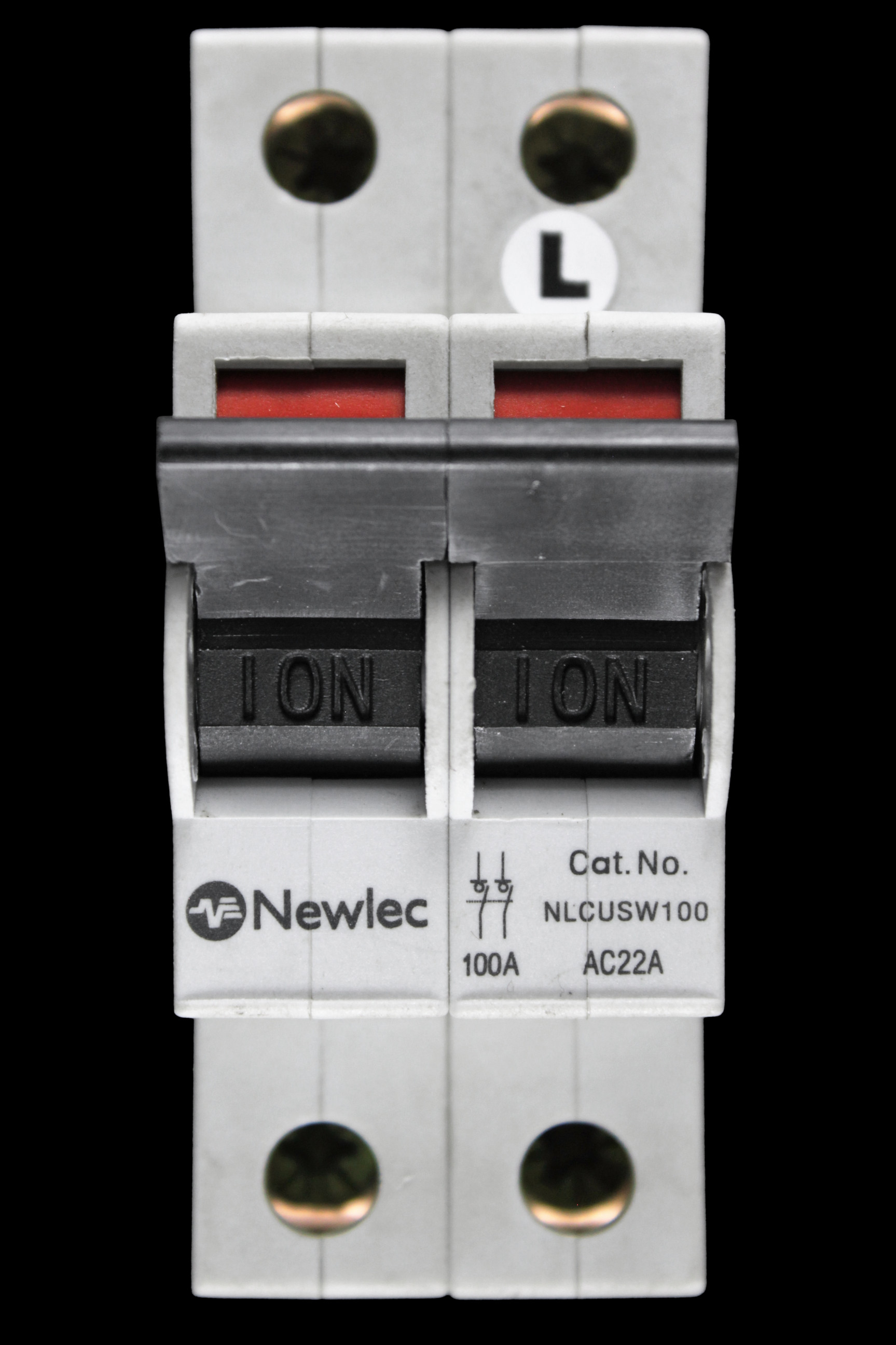 NEWLEC 100 AMP DOUBLE POLE MAIN SWITCH DISCONNECTOR AC22A NLCUSW100