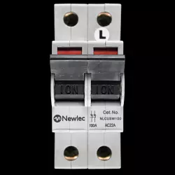 NEWLEC 100 AMP DOUBLE POLE MAIN SWITCH DISCONNECTOR AC22A NLCUSW100