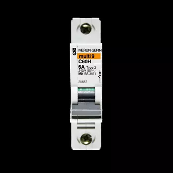 MERLIN GERIN 6 AMP TYPE 2 M9 MCB CIRCUIT BREAKER 25587 C60H